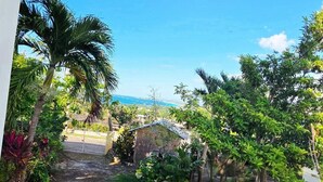 Vista de un jardín exuberante con palmeras y un edificio pequeño, que conduce a un mirador panorámico.