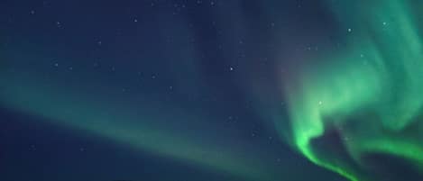A night sky with the Northern Lights over a snowy landscape.