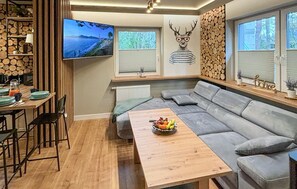 TV - Gorgeous home in Ostroda with WiFi (Ostroda)