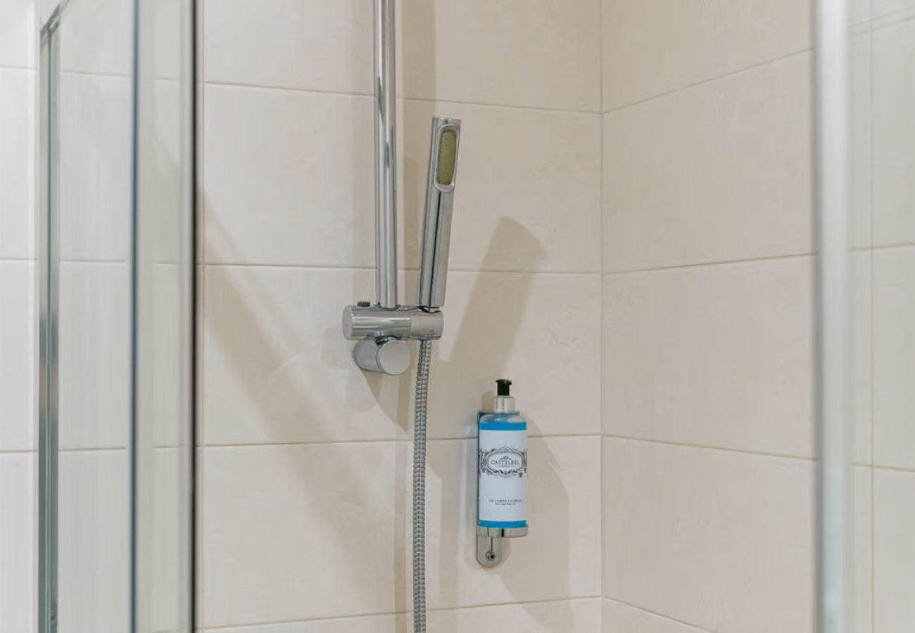 A shower area with a handheld showerhead and a wall-mounted soap dispenser.