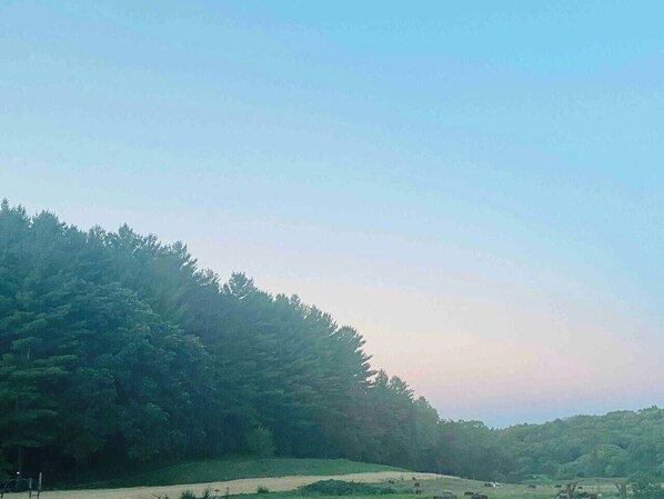 منوع