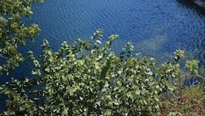 A golf course with a pond and a stone wall. - WorldMark Branson - 1 Bedroom (Branson)