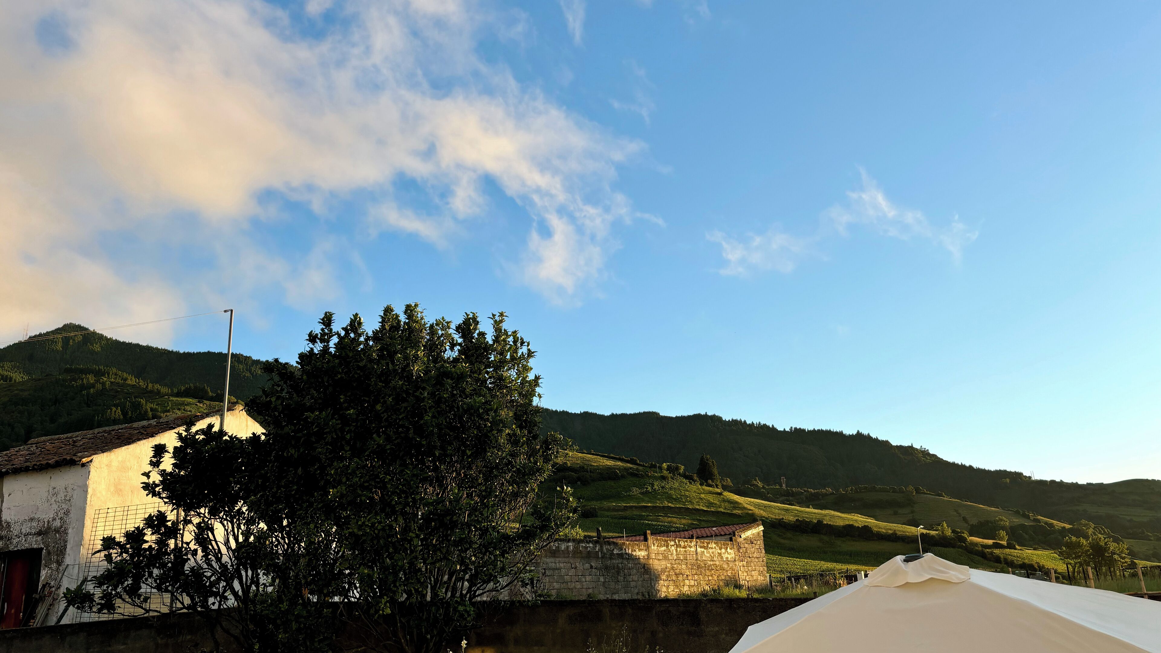 A rural landscape with a stone wall, a white building, and a tree in the foreground.