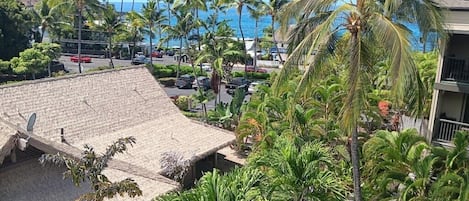 Vista de un resort con un edificio de techo de paja, palmeras y un estacionamiento con coches.