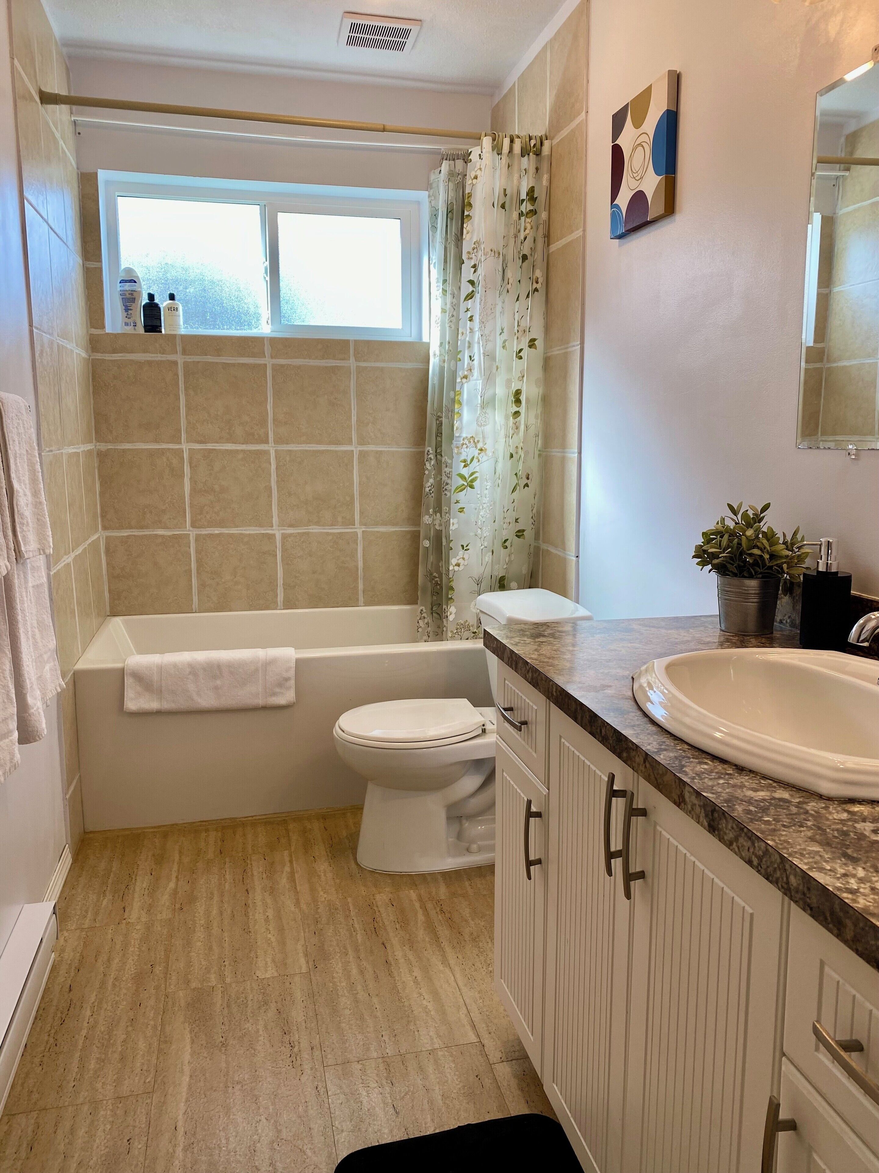 Hair dryer, towels, soap, shampoo