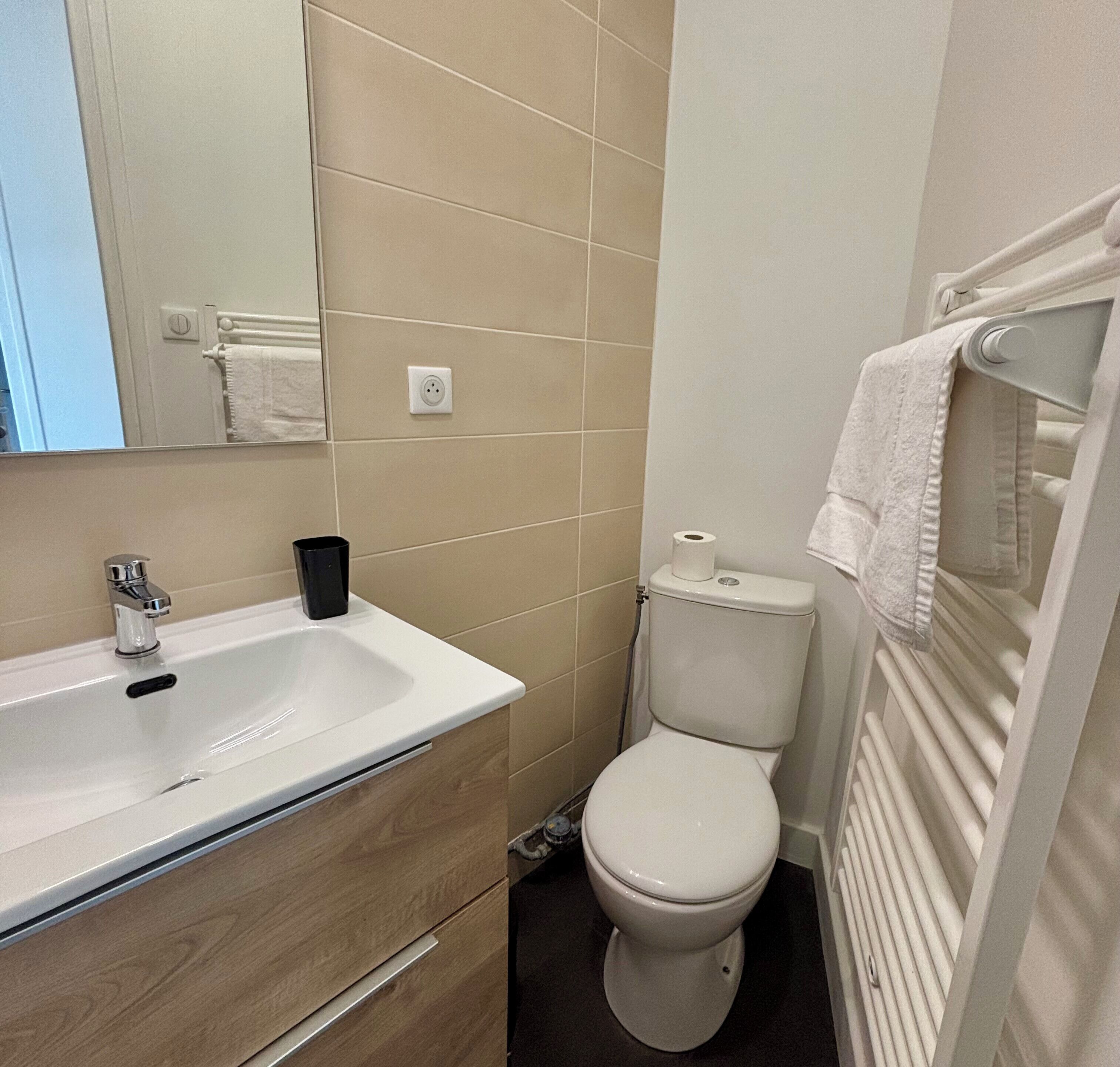 A bathroom with a white sink, a toilet, and a mirror.