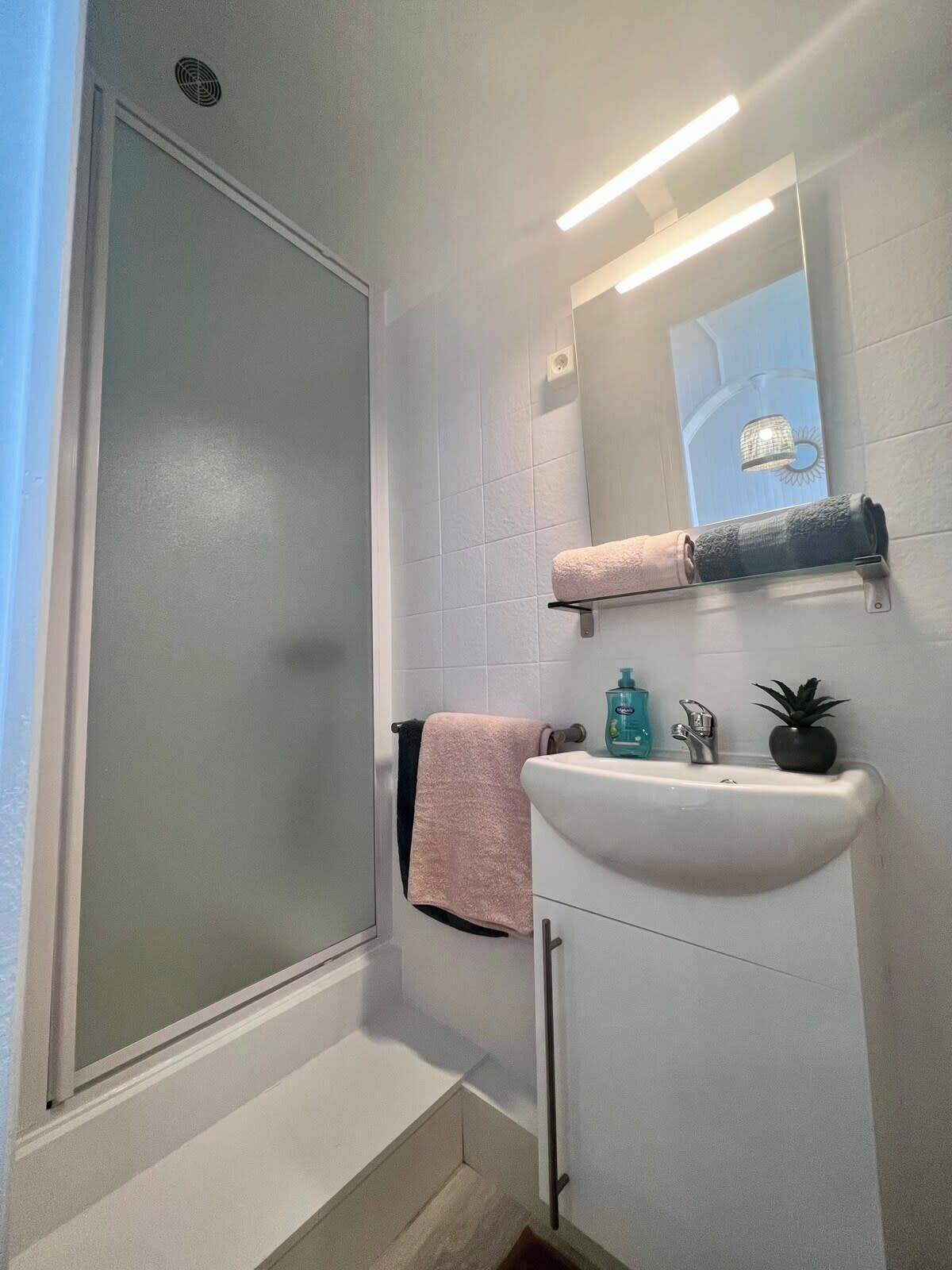 Shower, hair dryer, towels