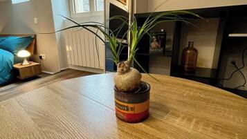 Fer et planche à repasser, Wi-Fi, draps fournis