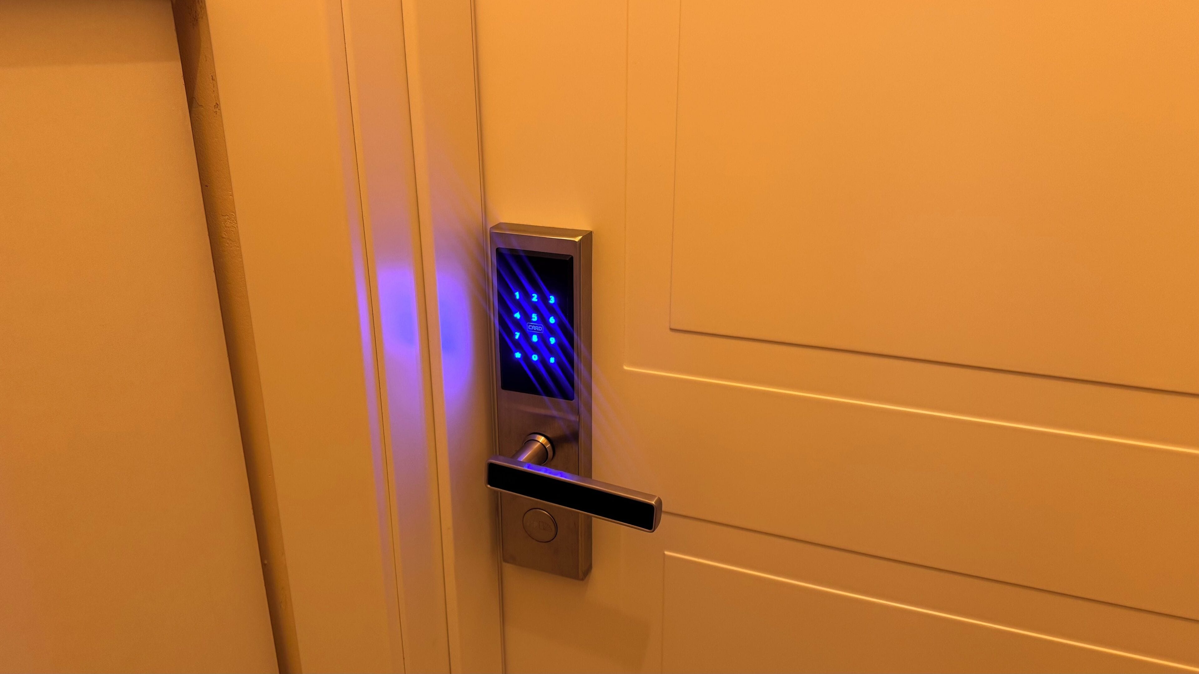 Een deur met een biometrische vingerpoortscanner en een sleutelgat.