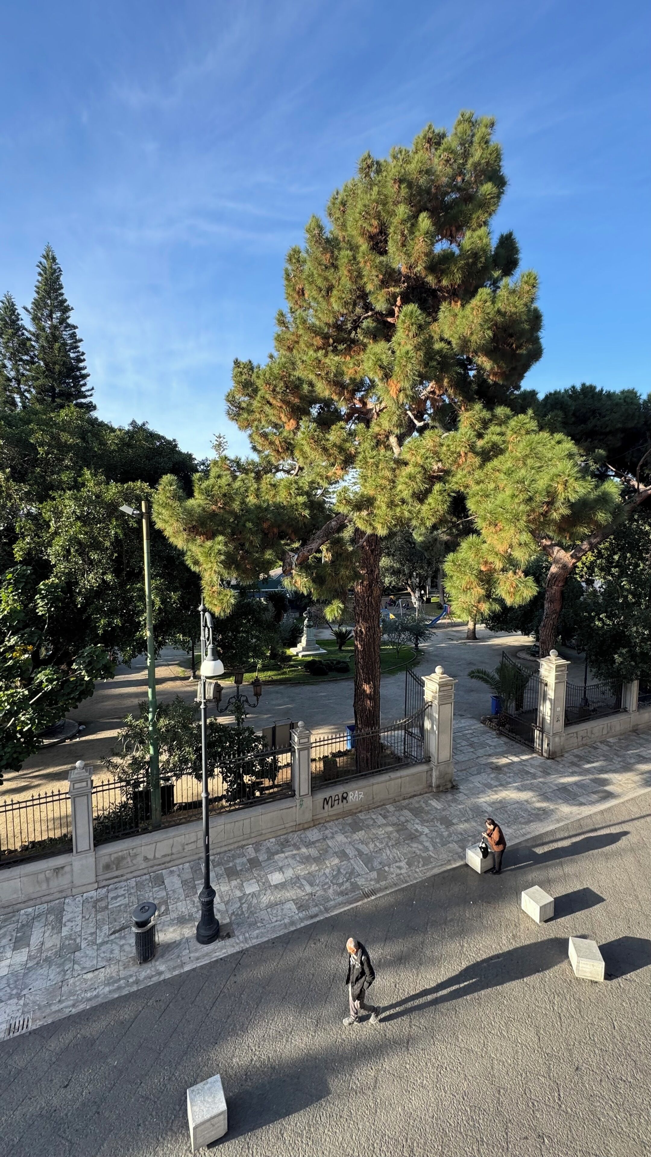 Zona peatonal con un árbol grande, una estatua y un sendero pavimentado.