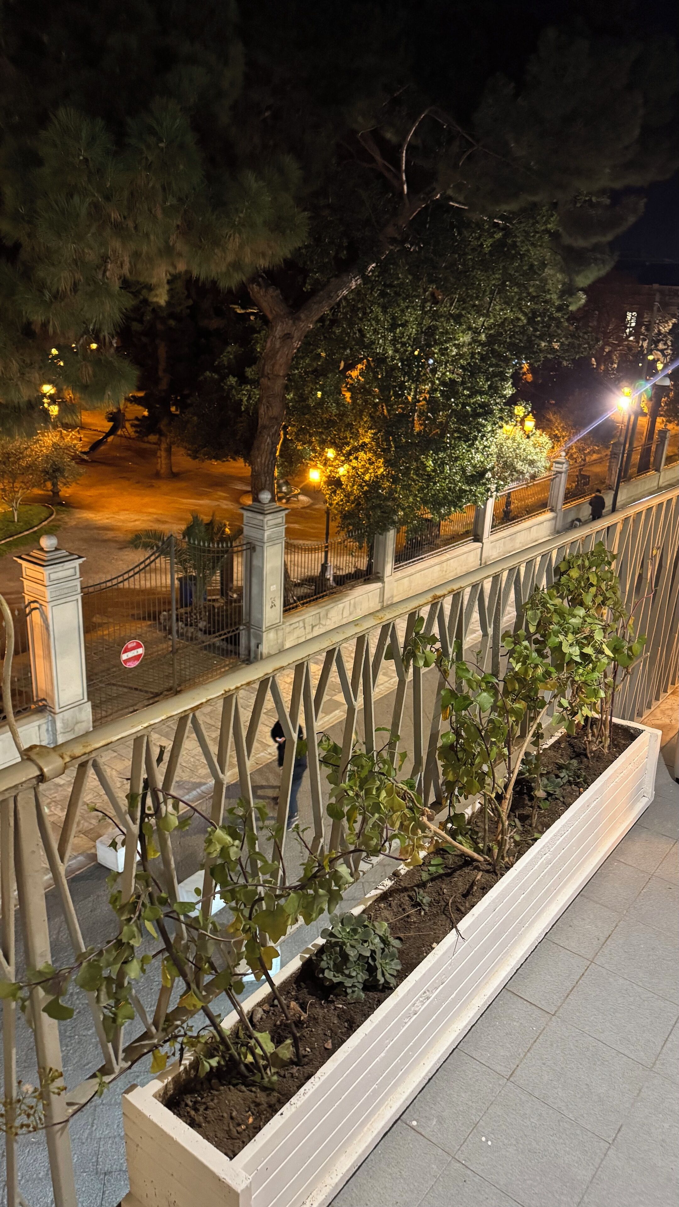 Vista nocturna de un puente peatonal bien iluminado con barandilla metálica y una jardinera con plantas.