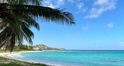 Charming and New 3-bedroom house in awesome Christiansted St.croix with AC, WiFi