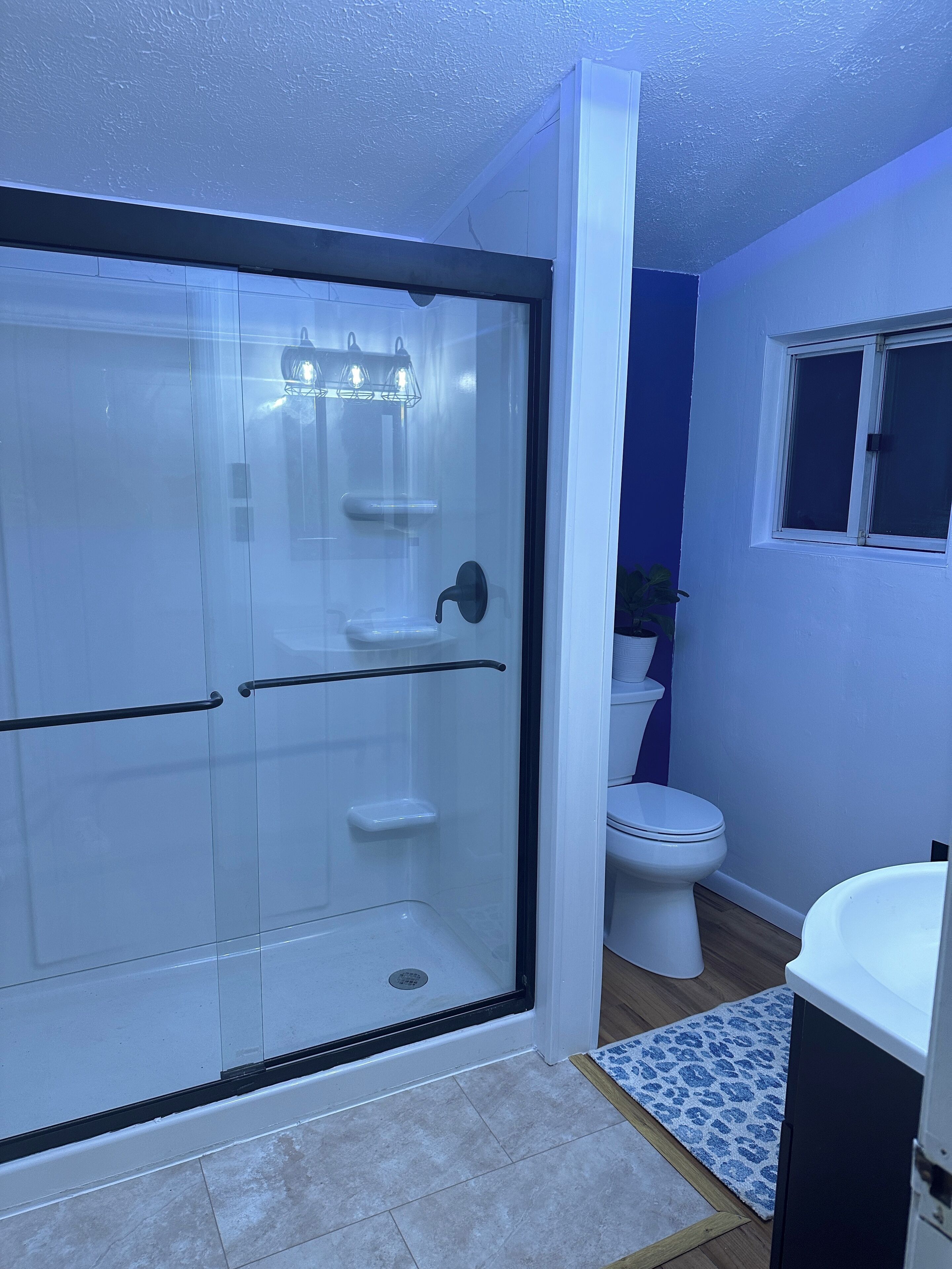 Shower, towels, toilet paper