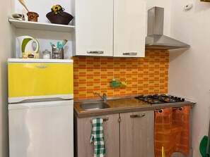 Kjøleskap, kokeplater, kaffetrakter/tekoker og vannkoker