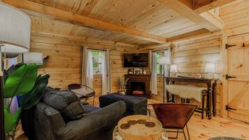 Smart TV, fireplace, video games, books