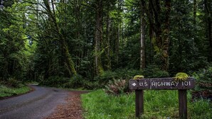 Uma área arborizada com uma placa indicando a rodovia interestadual 101 dos Estados Unidos.