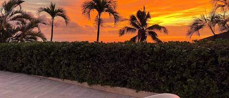 A modern lounge area with a curved white chair, a pool, and a view of palm trees against a sunset sky.