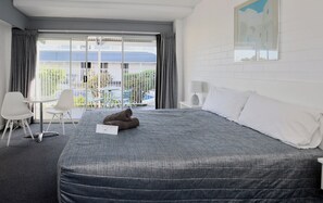 シングルルーム クイーンベッド 1 台 パークビュー | リビング エリア | テレビ