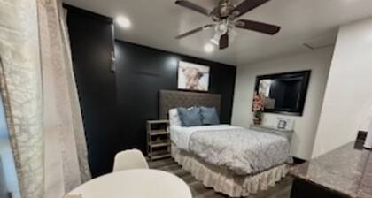 Cozy studio perfect for students with AC and WiFi in delightful Sacramento
