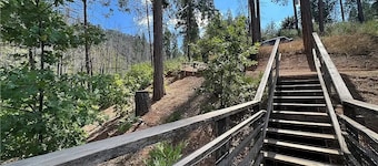 Cozy Yosemite Wood Cabin: A Serene Retreat in Nature! Pet Friendly with WiFi