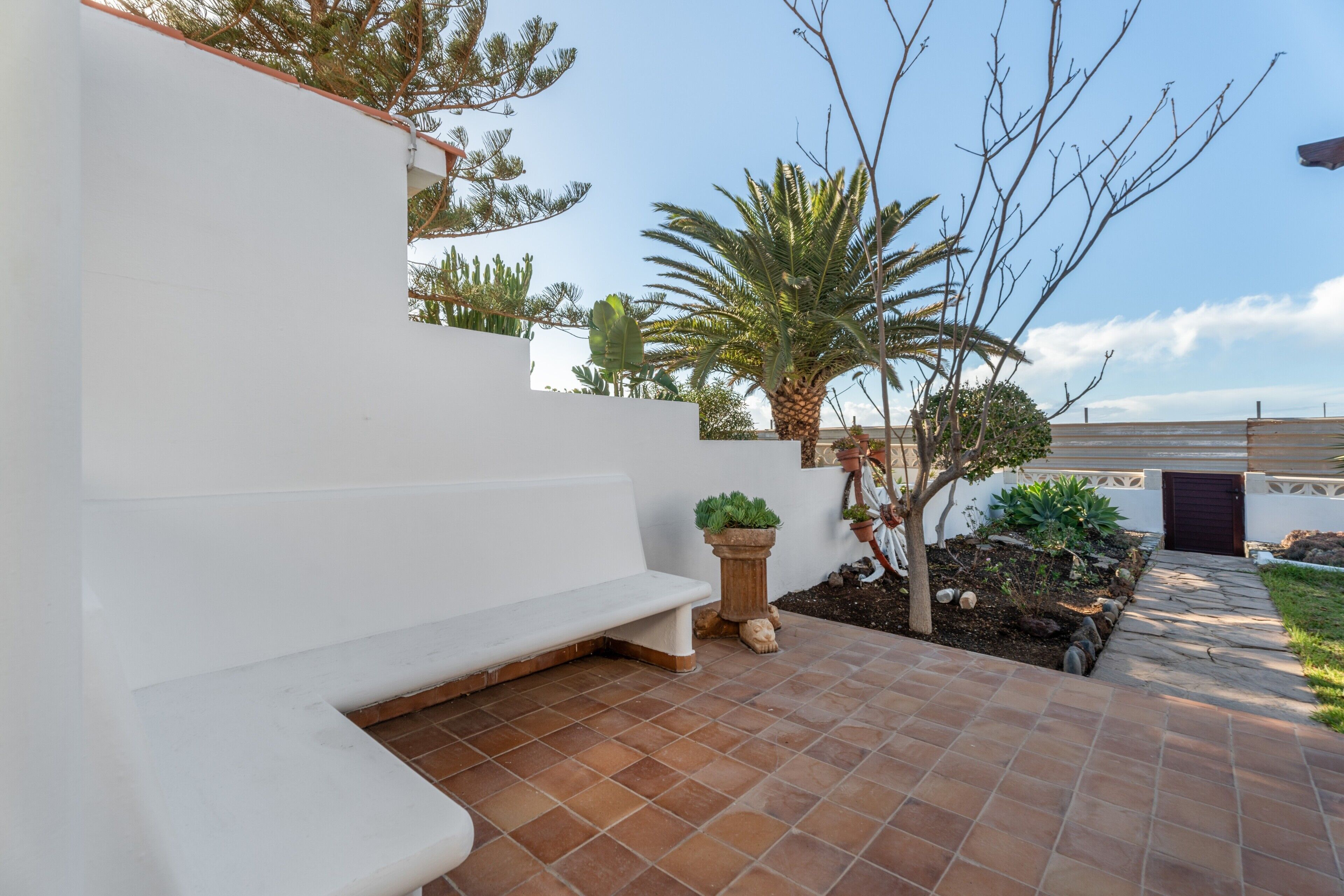 Un patio con un banco blanco, plantas en macetas y una palmera.
