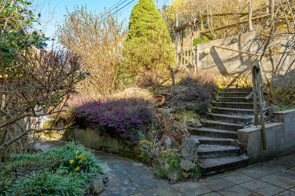 المنطقة المحيطة بالمنشأة