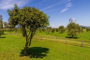 Paisaje rural con un molino, una cerca y árboles.