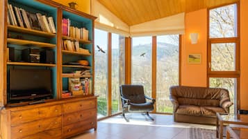 TV, fireplace, DVD player, stereo