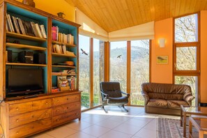 TV, fireplace, DVD player, stereo - Holiday Home 'Kiwi' with Mountain View, Private Terrace and Wi-Fi (Luttenbach-prés-Munster)