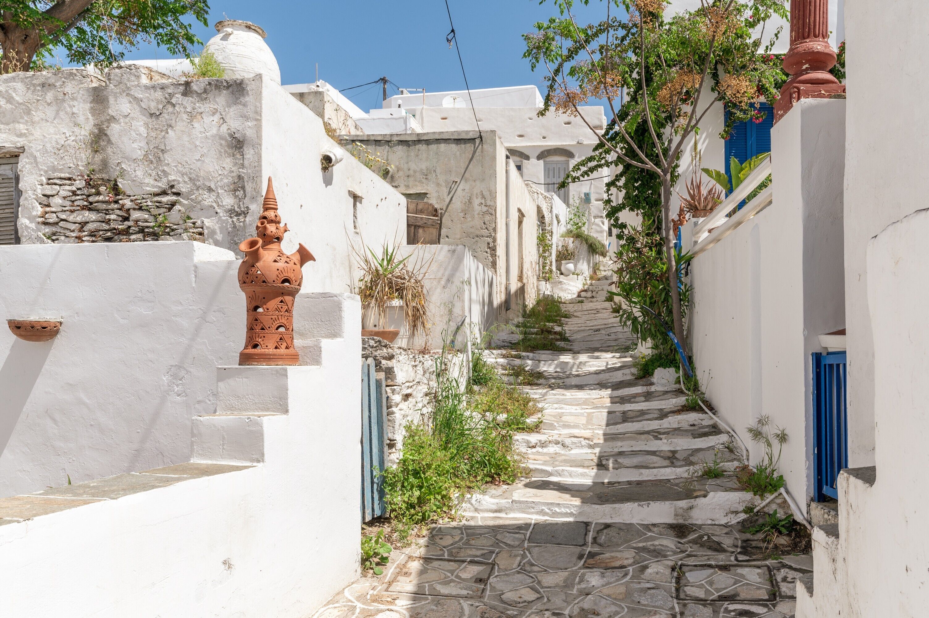A narrow stone staircase in a white-walled building with a blue door and a terracotta pot.