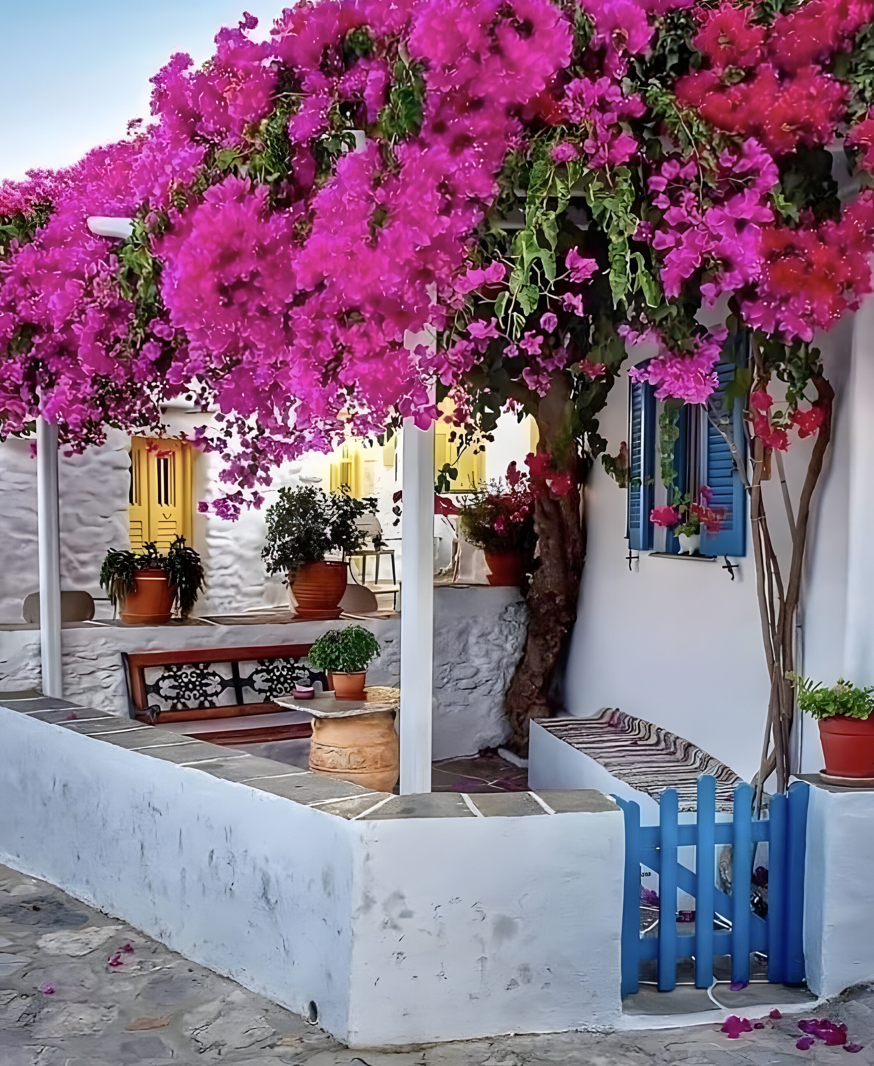 Terrace/patio