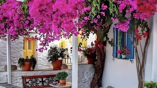 Un bâtiment blanc doté d’un balcon, de plantes en pot et d’une clôture bleue.