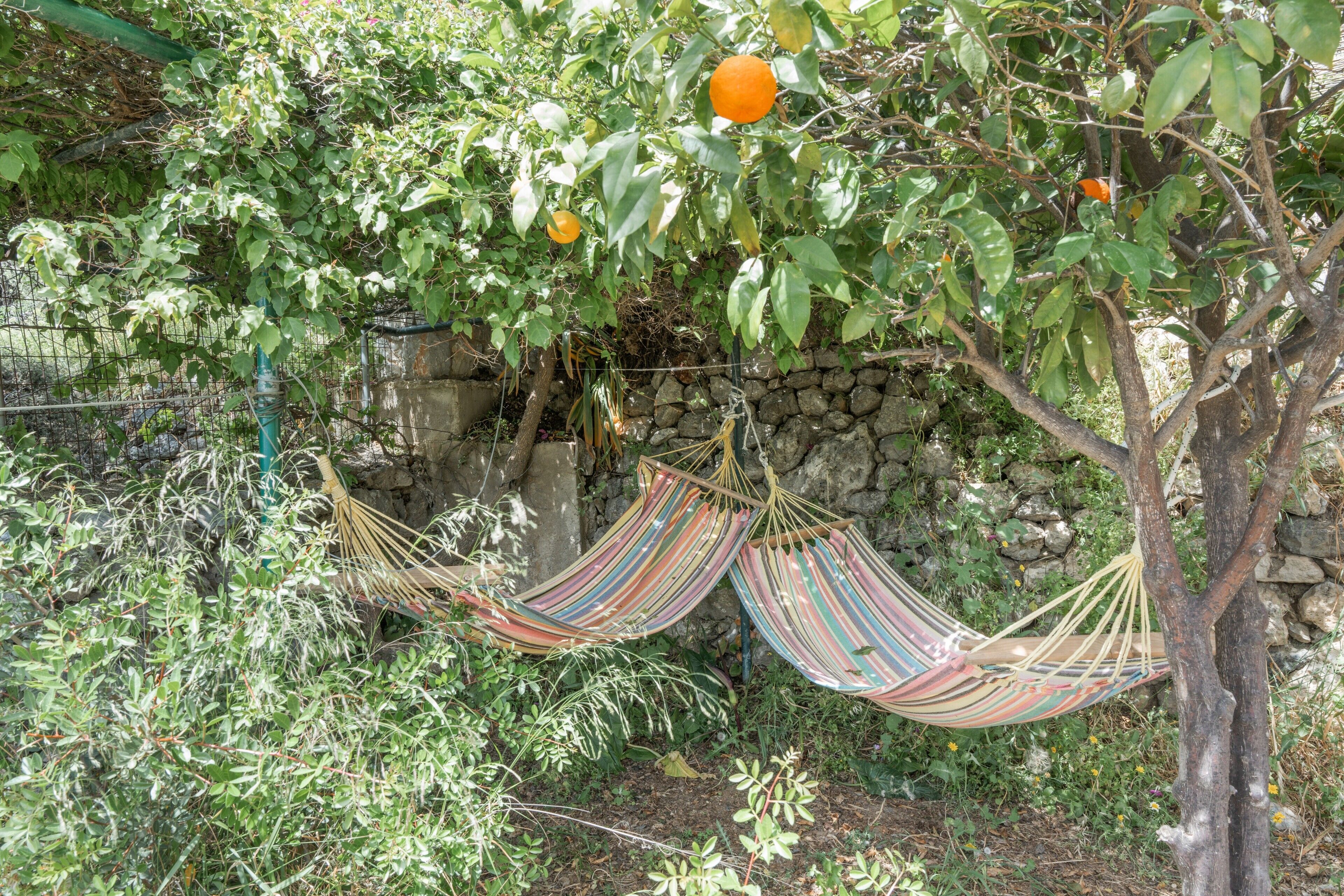 Una hamaca entre árboles, un muro de piedra y una valla verde en un jardín.