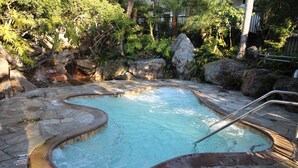 A hot tub surrounded by rocks and foliage, with a metal ladder leading into it. - Tranquil 2 Bd Oceanfront Condo in charming Oceanside with WiFi, fitness room. (Oceanside)