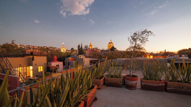 A rooftop terrace with potted plants and a cityscape view at dusk.
