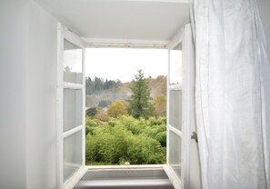 Enjoy a serene view of the surrounding forest from this room's window, which can be opened for a gentle breeze.