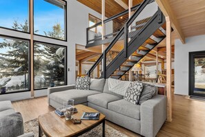 Smart TV, fireplace, books