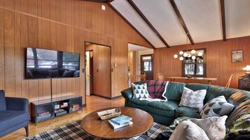 TV, DVD player, music library, video library