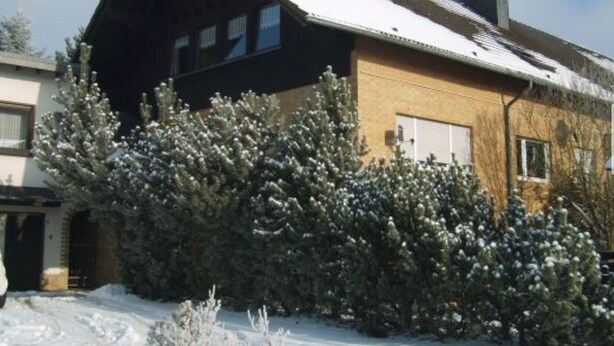Una casa de dos pisos con techo inclinado y chimenea. Un gran árbol de hoja perenne frente a la casa, y nieve en el suelo.