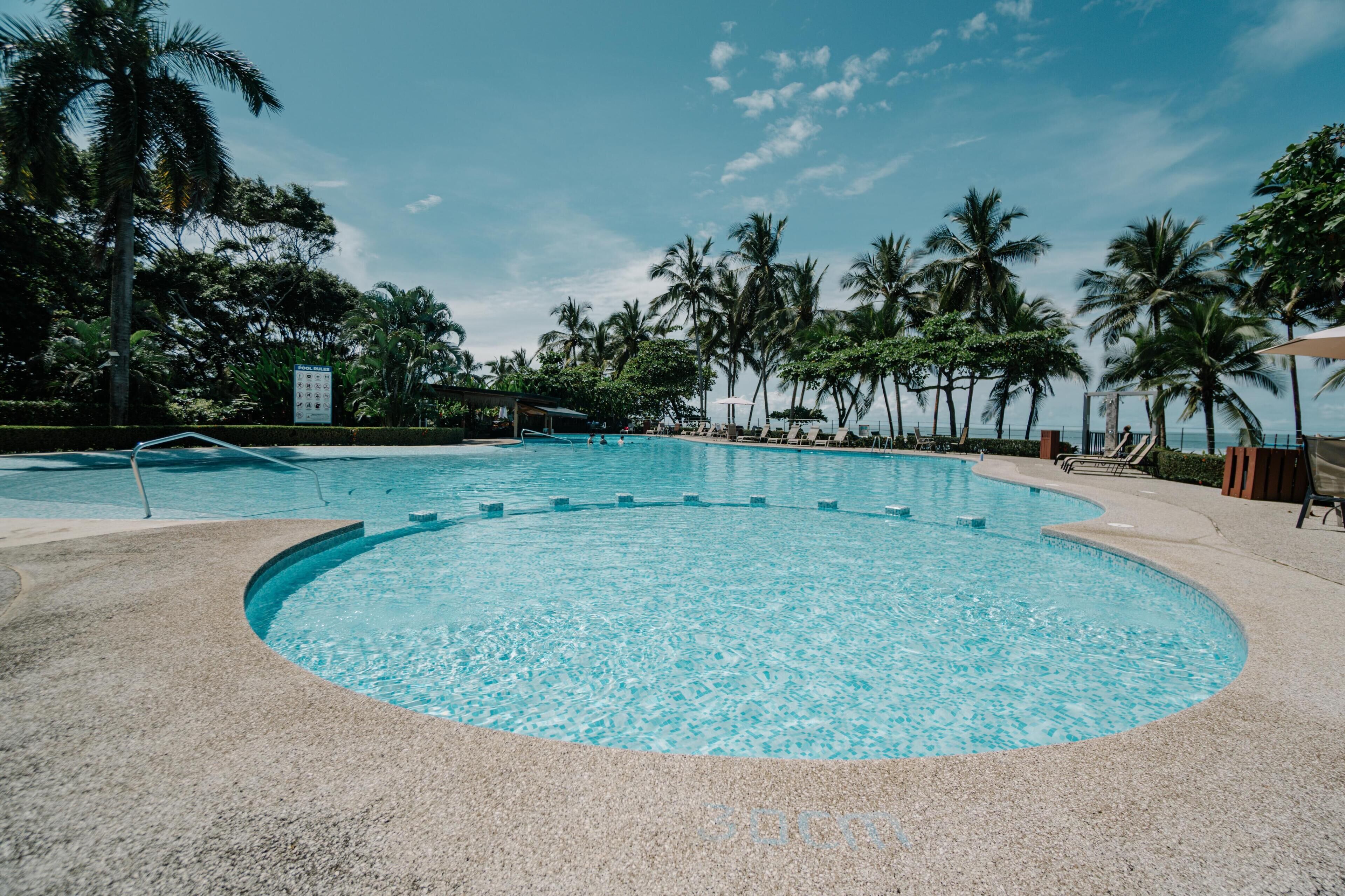 Una piscina de borde curvo, rodeada de palmeras y sillas de descanso, bajo un cielo despejado.