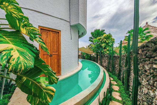 Zona junto a la piscina con puerta de madera, plantas tropicales y cactus.