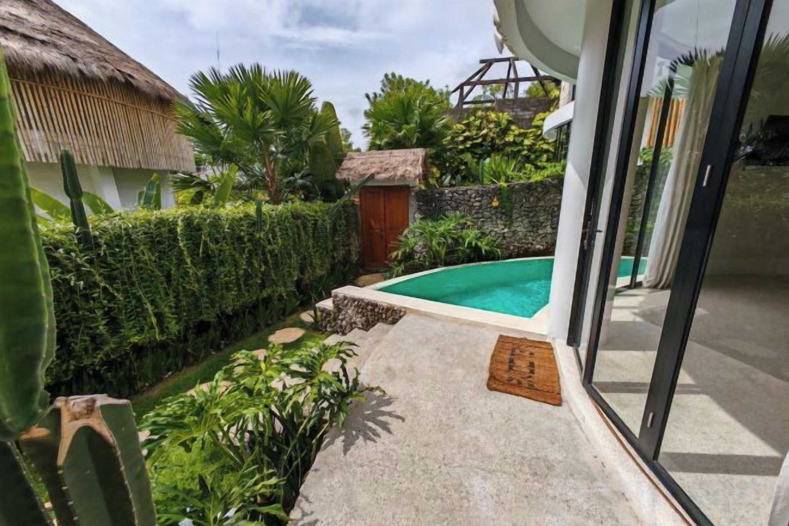 A pool surrounded by greenery, a thatched-roof structure, and a stone wall.