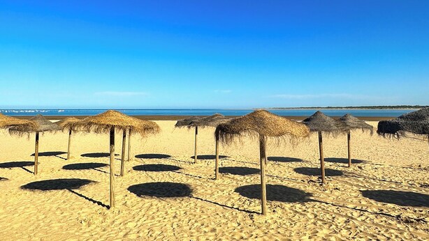 A beach with thatched umbrellas and a clear view of the ocean.