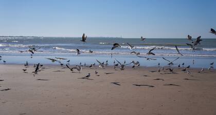 Charming 2-bedroom apartment in Sanlúcar de Barrameda with Ocean Access