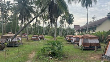 Ngoại thất