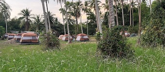 Tent Room