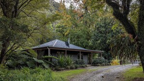A house surrounded by dense vegetation and a gravel path.