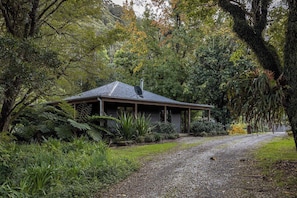 A house surrounded by dense vegetation and a gravel path.