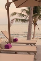 Un área de descanso en la playa con tumbonas y una palmera.