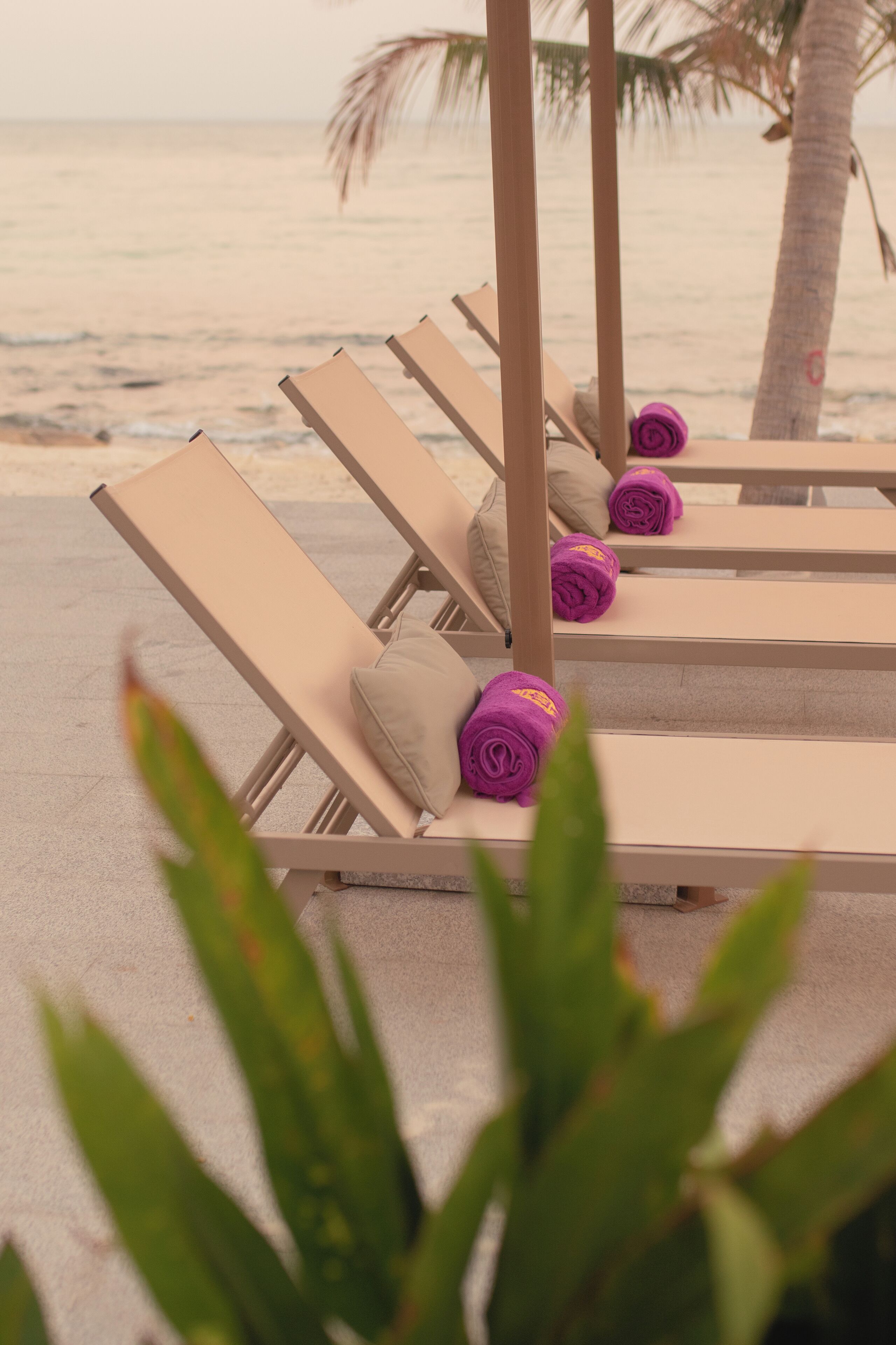 Une rangée de chaises longues beiges, avec des serviettes, est disposée sur une surface en béton, près d’un palmier, et offre une vue sur la plage.